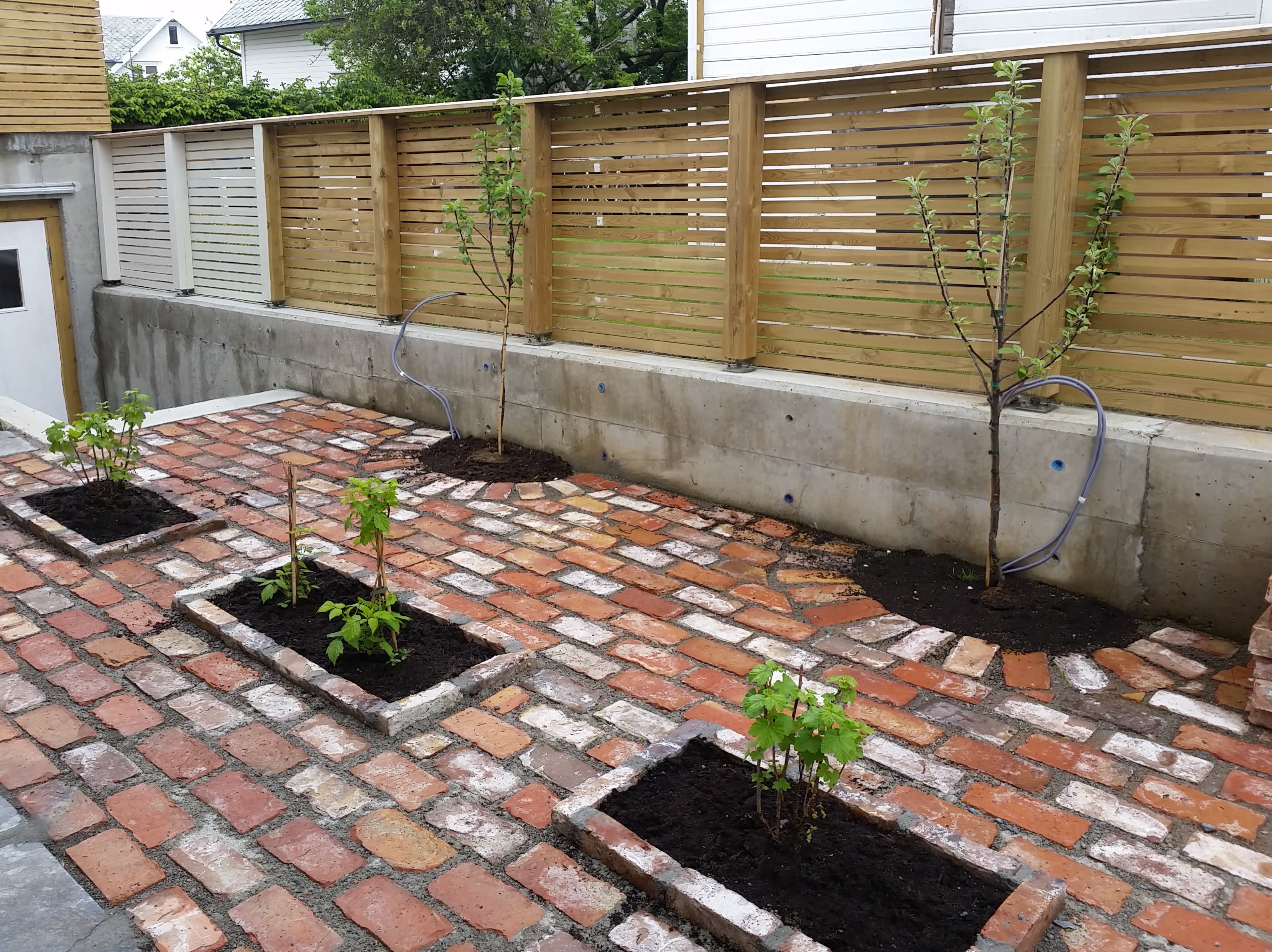 Beplantning langs teglbelagt flate